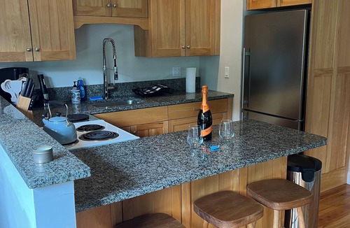 Londonderry House | Ski & Lake Home-Minutes Lowell Lake, Magic, Stratton, Bromley & Okemo