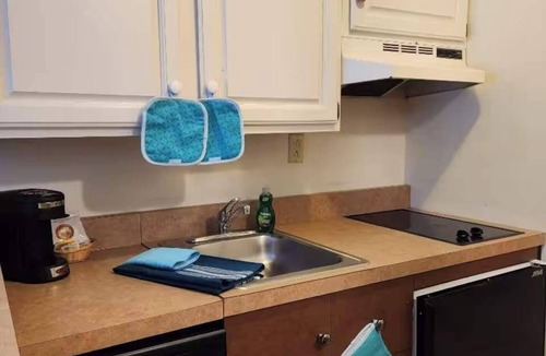 Hancock Apartment | Ski On/Off Winter Mountain Suite Jiminy Peak- Sleeps4- Home Away From Home