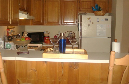 Lincoln Condo | Ski resort at Loon Mountain along the pemi river