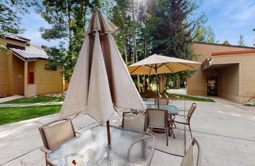 Mountain House Apartment | Ski Run Condominiums 203