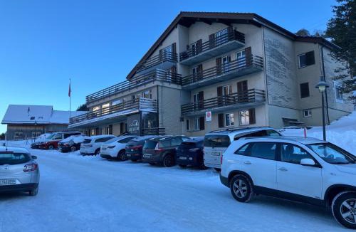 Alt Sankt Johann House | Ski Und Gruppenhaus