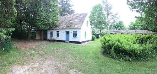 Hjørring House | Skovhuset