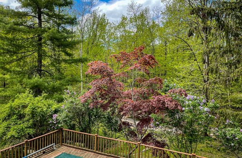 Wallkill Cottage | SKY, HIKE, STARGAZE, FOREST BATH, SWIM BY STREAM IN THE SHAWANGUNK MOUNTAIN
