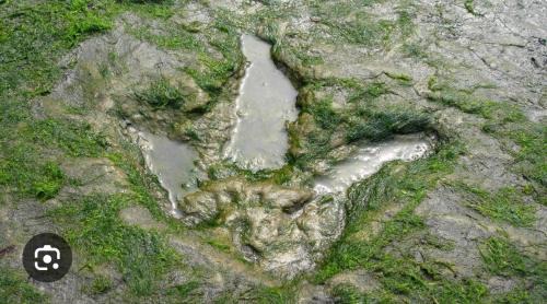 Teangue Apartment | Skye Blue Bothy