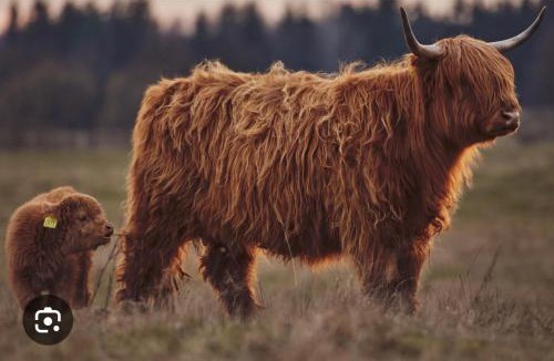 Teangue Apartment | Skye Blue Bothy