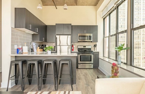 Near South Side Hotel | Skyline 2BR in South Loop Chicago Near McCormick Place & Soldier Field
