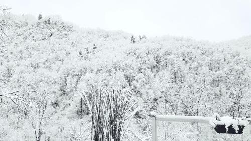 Biert Bed & Breakfast | Skymist Maison d'hôtes