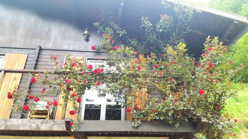 Biert Bed & Breakfast | Skymist Maison d'hôtes