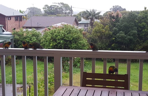 Currarong House | Skyview - located at Currarong