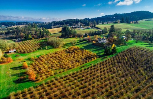 Dundee House | Skyview Villa