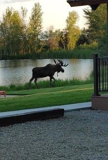 Grantsdale House | SkyWater Cabins