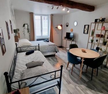 Bourgogne Apartment | Sleep'in Orléans centre-studio confortable et cosy