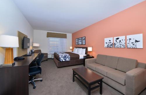 Austin Hotel | Sleep Inn & Suites - Austin Northeast