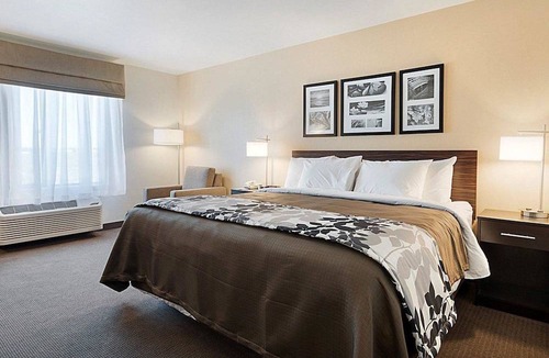 Carlsbad Hotel | Sleep Inn & Suites Carlsbad Caverns Area