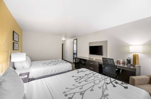 Carlsbad Hotel | Sleep Inn & Suites Carlsbad Caverns Area