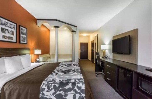 Bowie Hotel | Sleep Inn & Suites Lubbock West