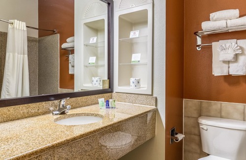 Stafford Hotel | Sleep Inn & Suites Stafford - Sugarland