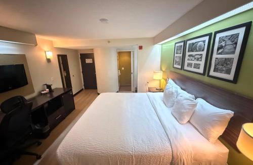 Woodbridge Hotel | Sleep Inn Woodbridge - Potomac Mills