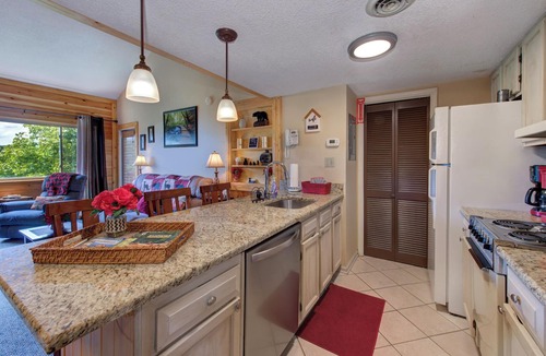 Chalet Village Condo | Sleep on a mtn top above the clouds! Gorgeous views, hot tubs suana king bed!