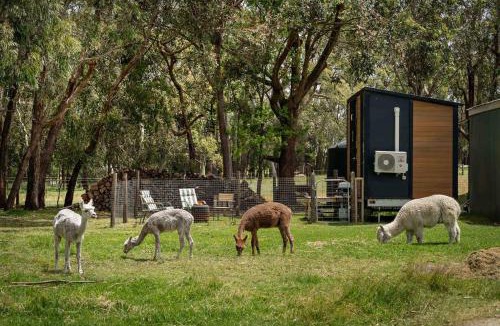 Kernot House | Sleeping Amongst Animals by Tiny Away