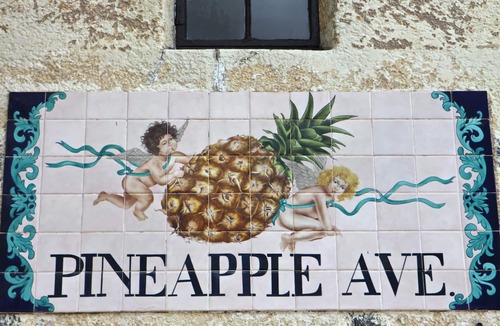 Laurel Park Apartment | Sleeping Studio, Secure & Cute Downtown between Siesta & Lido Beaches