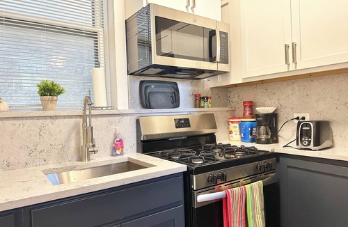 Oak Park Apartment | Sleeps 12/Free parking+20 min to DT Chicago
