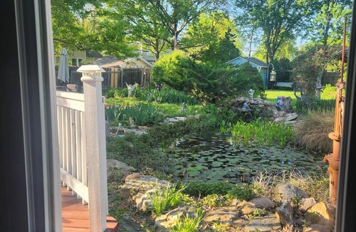 Lawrence House | Sleeps 12! Main Level Primary Suite - Beautiful Backyard Oasis!
