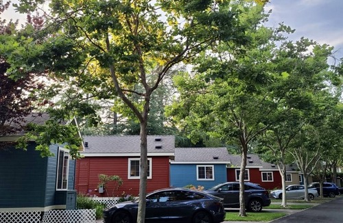 Napa Cottage | Sleeps 4! 1 Queen Size Bed with fold out couch. Unit has fridge, stove/microwave