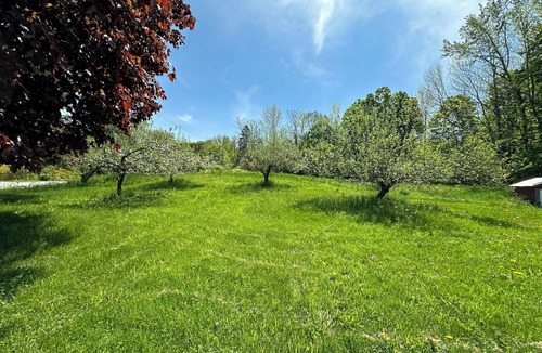 North Waterford House | Sleeps 5/nearby lakes & trails w/beautiful mtn views and sunsets. Great WIFI!