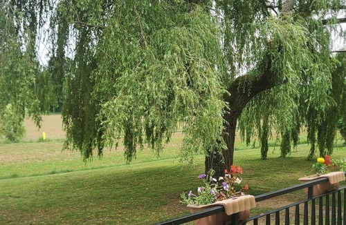 Laussou House | Sleeps 8 with Pool and Pet-Friendly