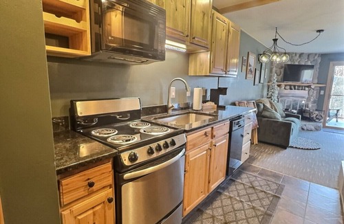 Lutsen Apartment | Slope-Side Pet-Friendly Studio | In-Unit Jet Tub