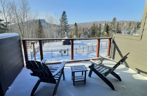 Lutsen Apartment | Slope-Side Pet-Friendly Studio | In-Unit Jet Tub