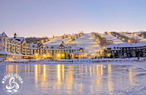 Craigleith Apartment | Slopeside Loft at North Creek Resort