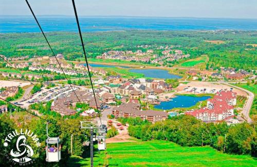Craigleith Apartment | Slopeside Loft at North Creek Resort