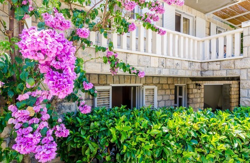 Zaton House | Small and friendly traditional home