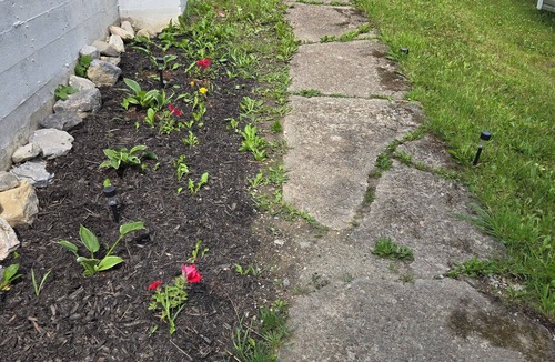 Corner Brook Apartment | Small cozy basement apartment