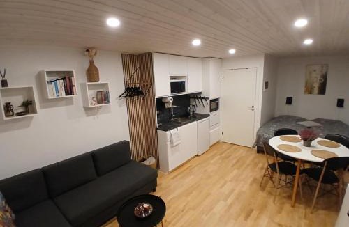 Tarm Apartment | Small Cozy Cottage Near the Skjern River