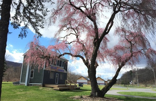 Port Matilda Cabin | Small Family Suite