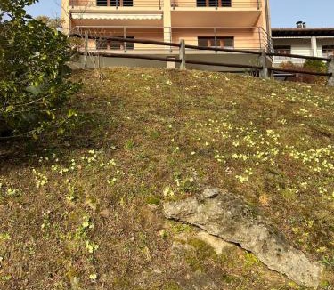 Tenero-Contra Apartment | Small Green Views
