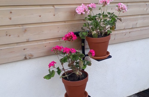 Liesville-sur-Douve House | Small house in a charming village