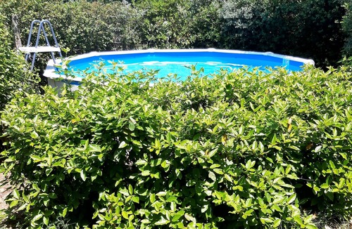 Piolenc House | Small house on shady plot, swimming pool not overlooked, close to the village.