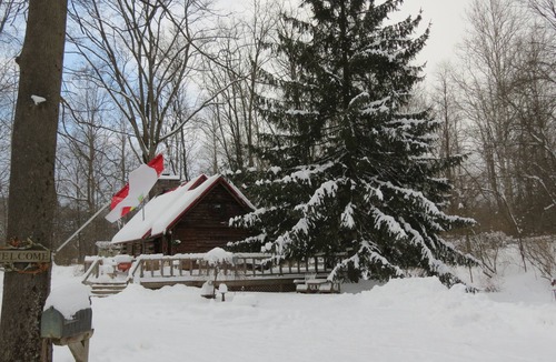 Oxford Cabin | Small Log Cabin in the woods in Oxford, NY