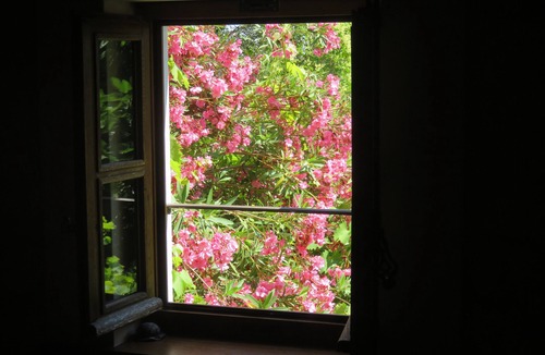 Tarascon Cottage | Small Provencal charming house