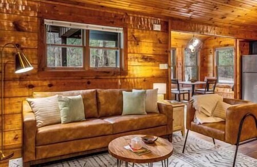 Townsend Cabin | Smoke Rise is a remodeled modern cabin near it all