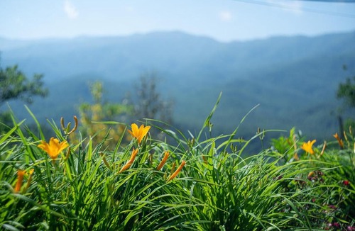 Gatlinburg House | Smoky Mountain Dream Cabin