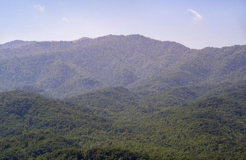 Gatlinburg House | Smoky Mountain Dream Cabin