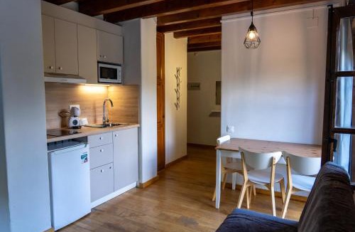 Taull Apartment | SNÖ Vall de Boí