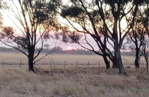 Wal Wal House | Snakes a plenty, rough country accommodation, no electronic communications.