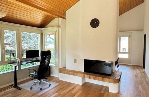 Spiez Apartment | Sneeze view