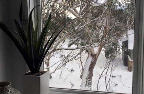 Dinner Plain Ski Chalet | Snow Brainer-dog friendly